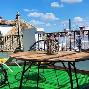  Appartement Hostly Orfila 3a-3b Exclusive Penthouse-center-fibre-parking Optional